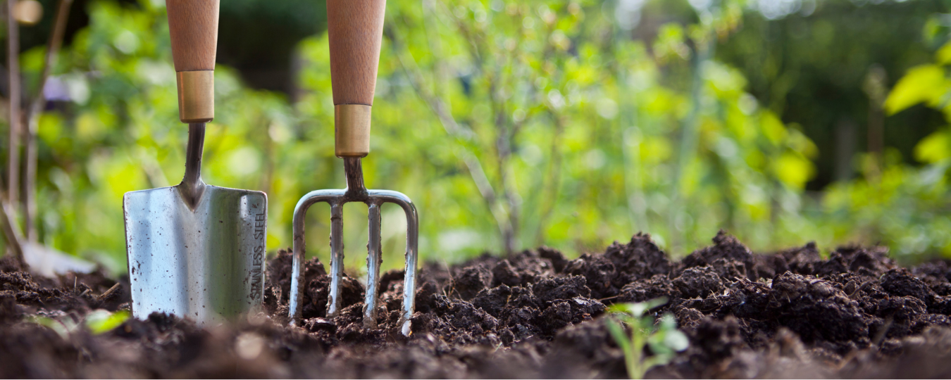 Top 10 Must-Have Gardening Tools
